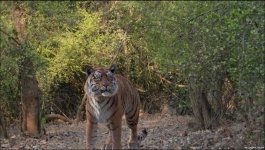 Pandya Store - 2nd May 2024